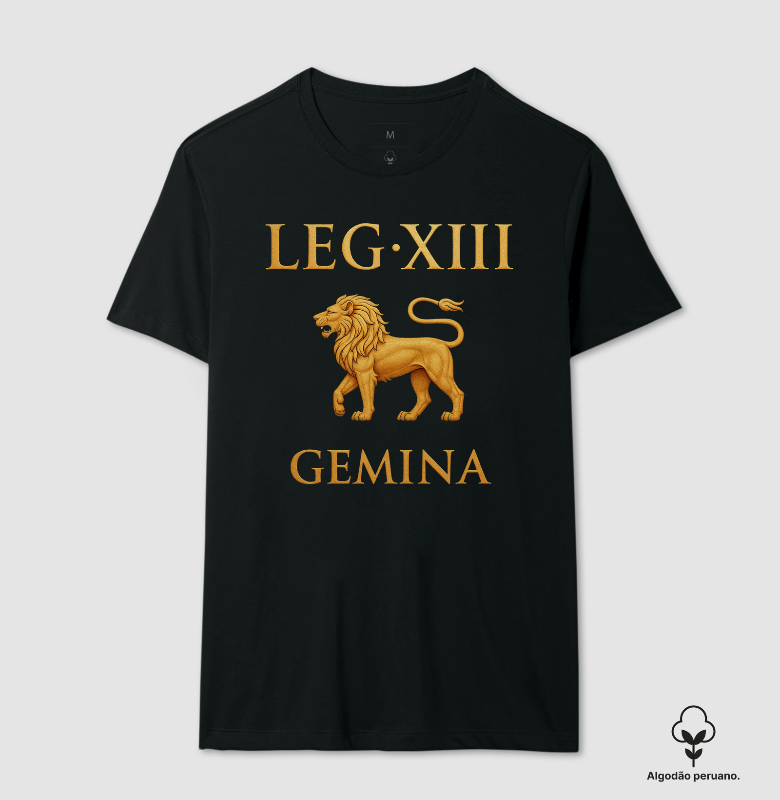 LEGIO - XIII Gemina