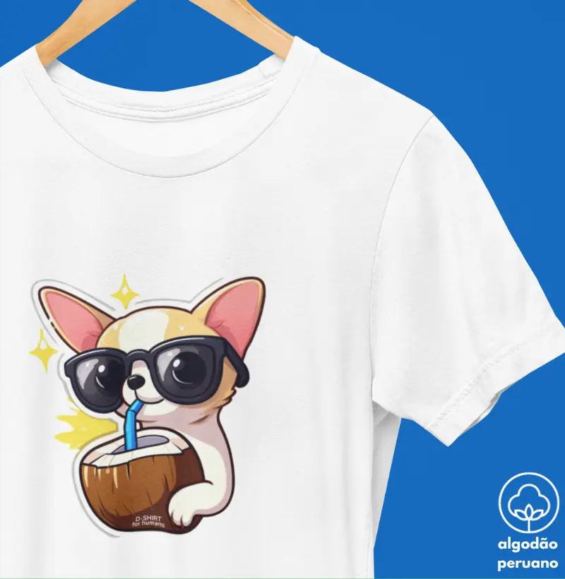 Coco - Chihuahua