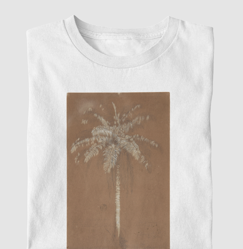 Abaye Palm