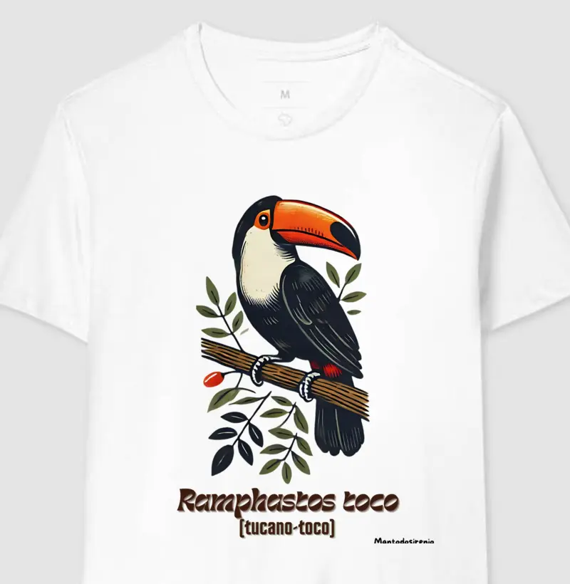 Tucano-toco 01 