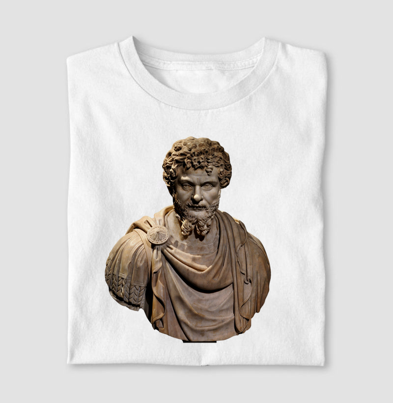 SEPTIMIUS SEVERUS — Imperator - II