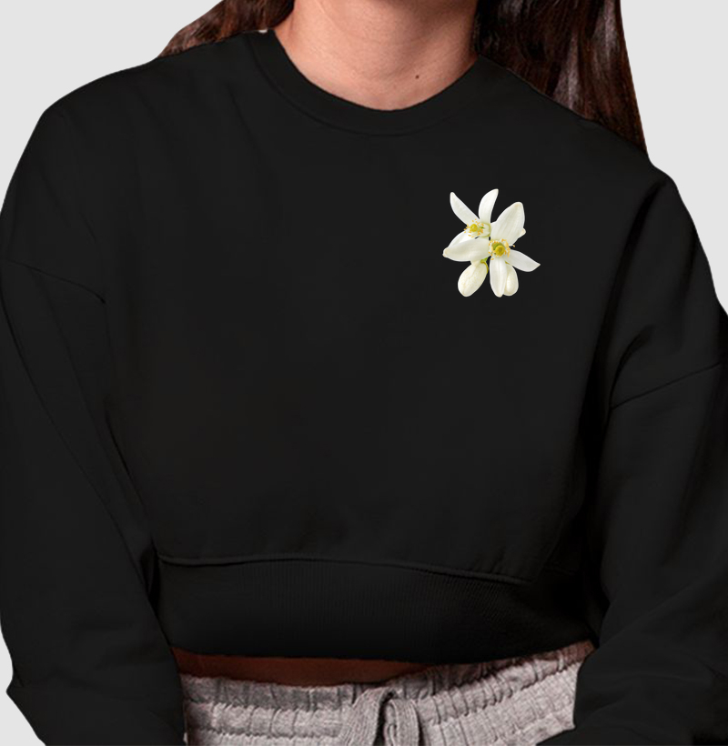Coleção flores
