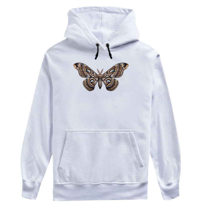 Mariposa, Ondas de Transformação