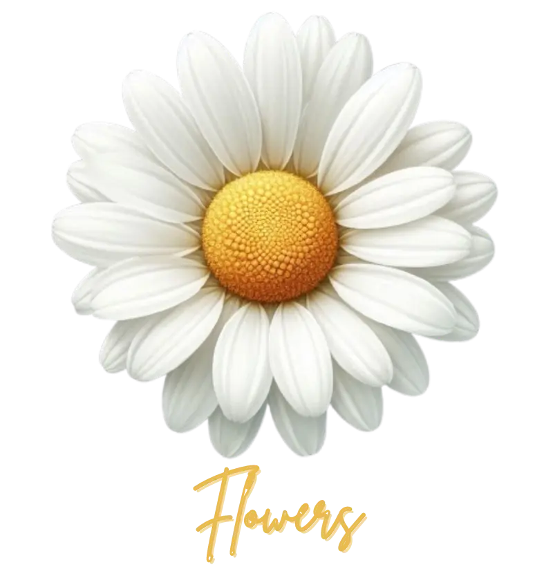 Margarida Flowers