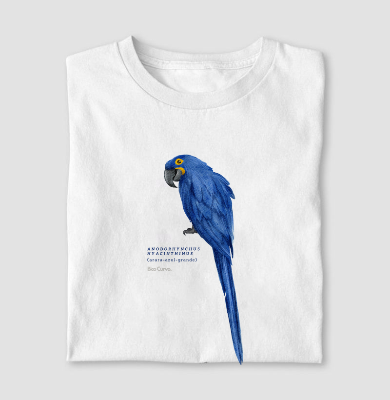 Arara Azul Cores