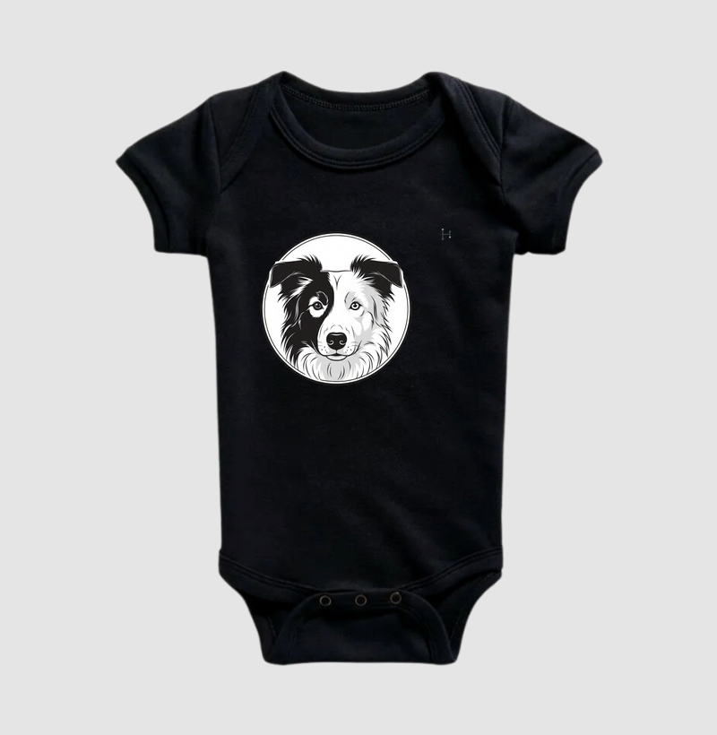 Border Collie - Parceria Pet Raiz