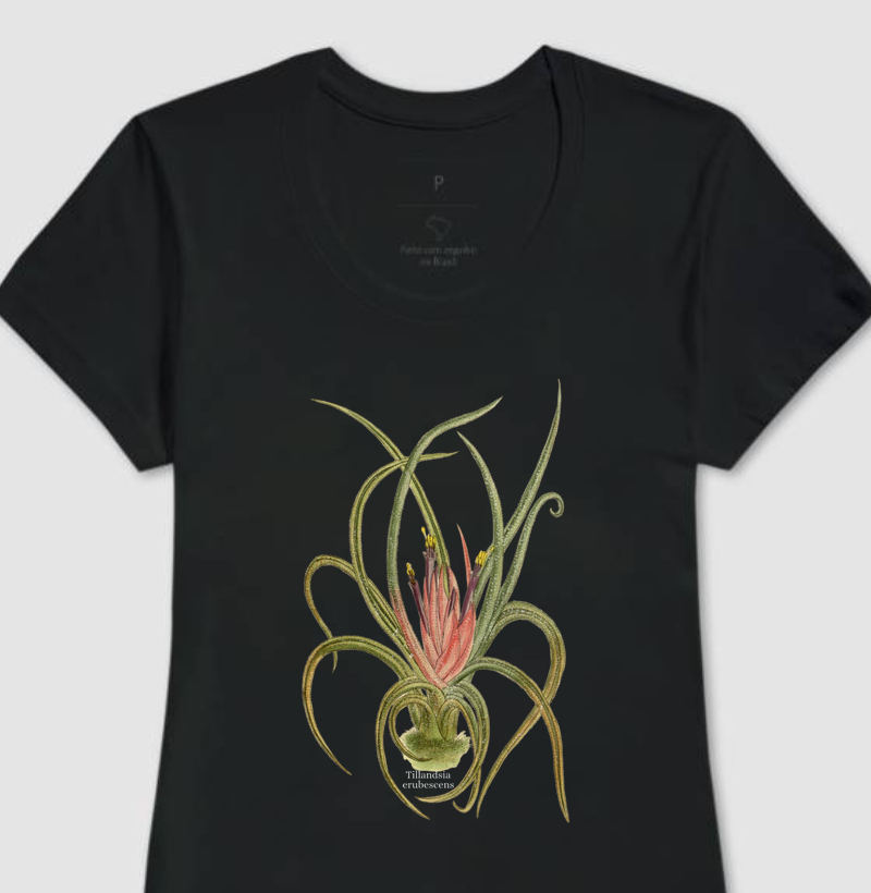 Camiseta Feminina Tillandsia erubescens