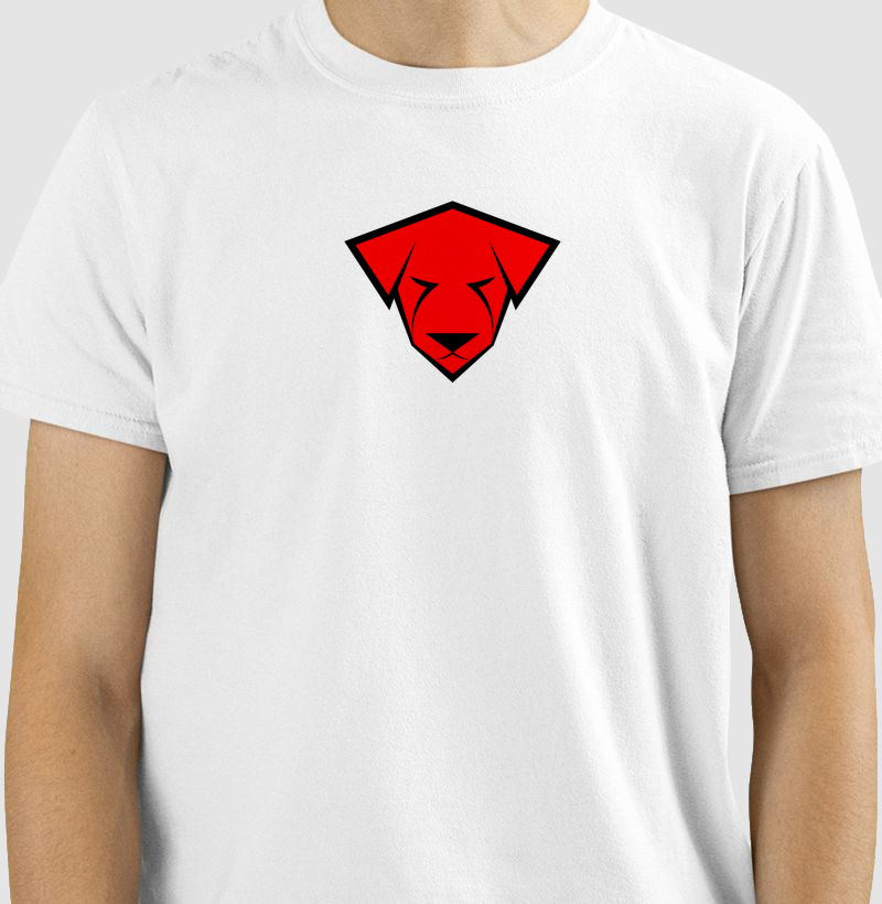 Camiseta T-Shirt Algodão Colors IX