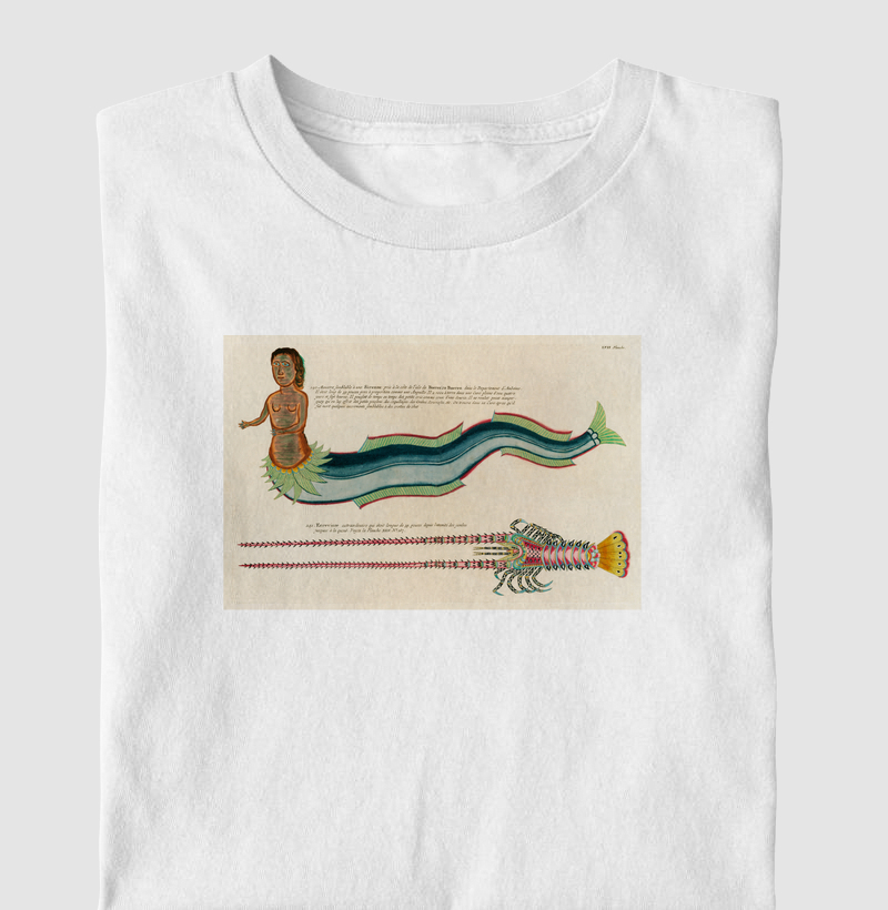 Sereia e lagosta