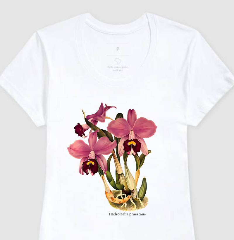 Camiseta Feminina Hadrolaelia praestans