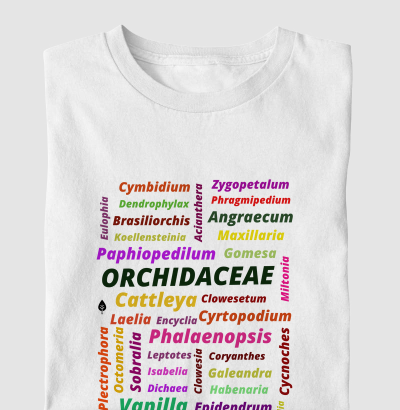 Família Orchidaceae 