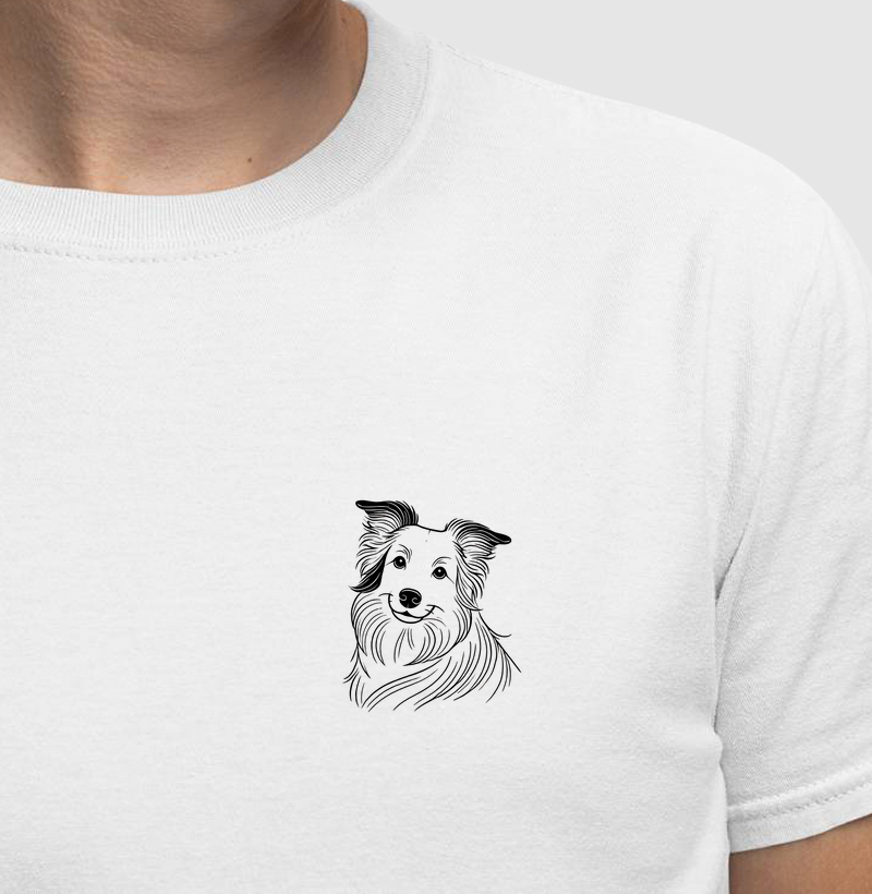 Border Collie - Linhas