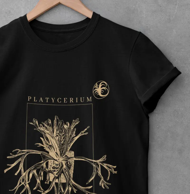 QUADRO PLATYCERIUM 