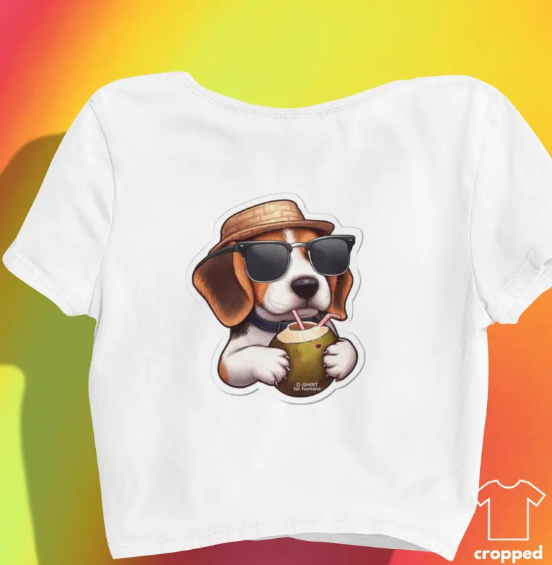 Coco - Beagle