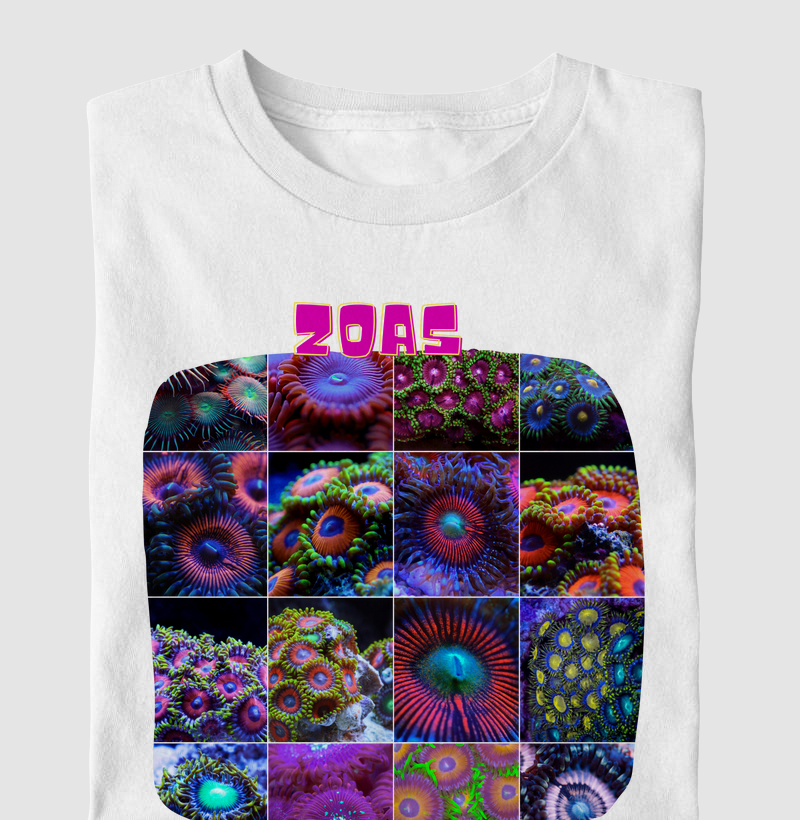 Zoas Collection