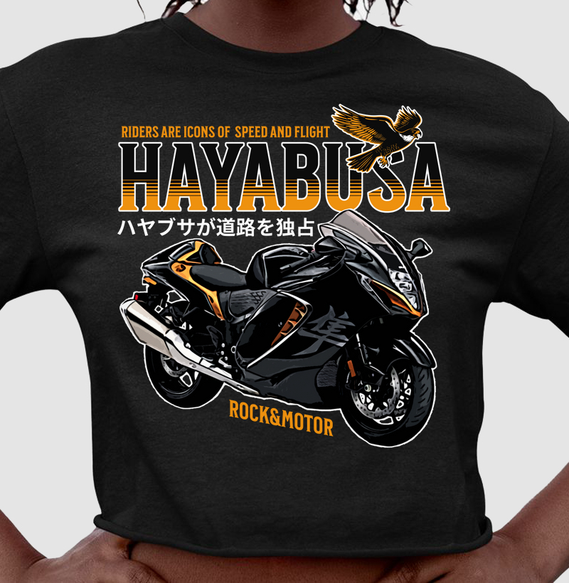 Hayabusa - Speed and Flight