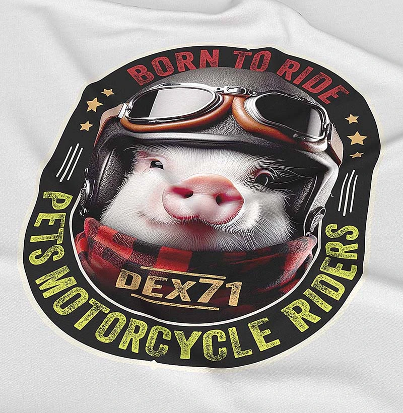 Animais - Piggy