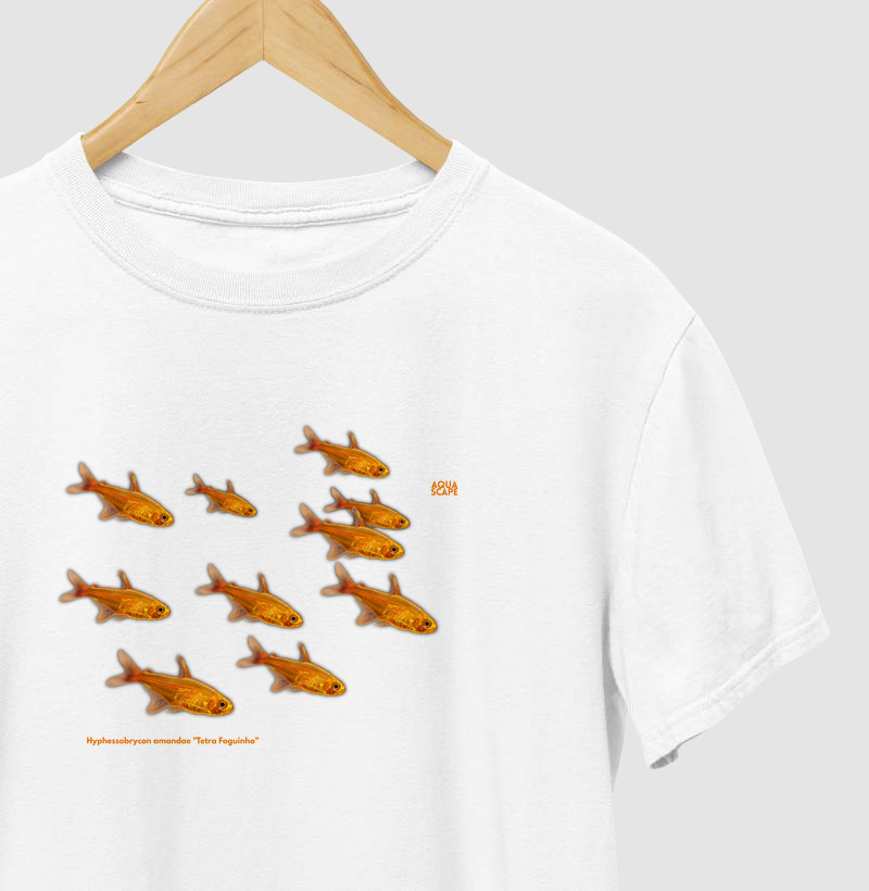 "Tetra Foguinho" Hyphessobrycon amandae - Cardume