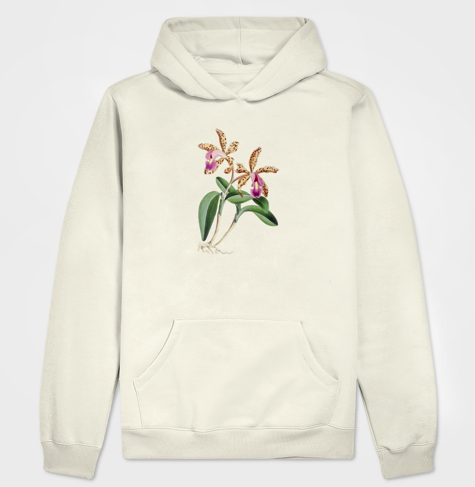 Cattleya Quinquecolor