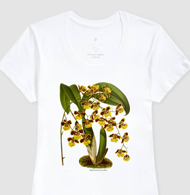 Camiseta Feminina Baptistonia sarcodes