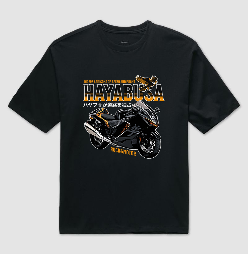 Hayabusa - Speed and Flight