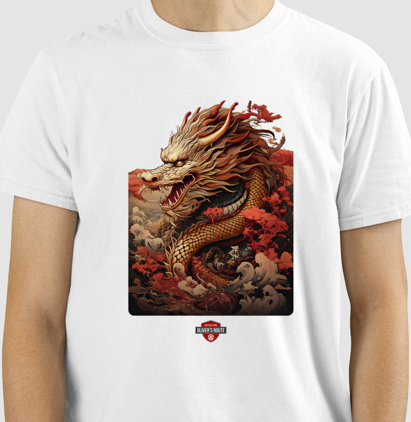 Dragão 1