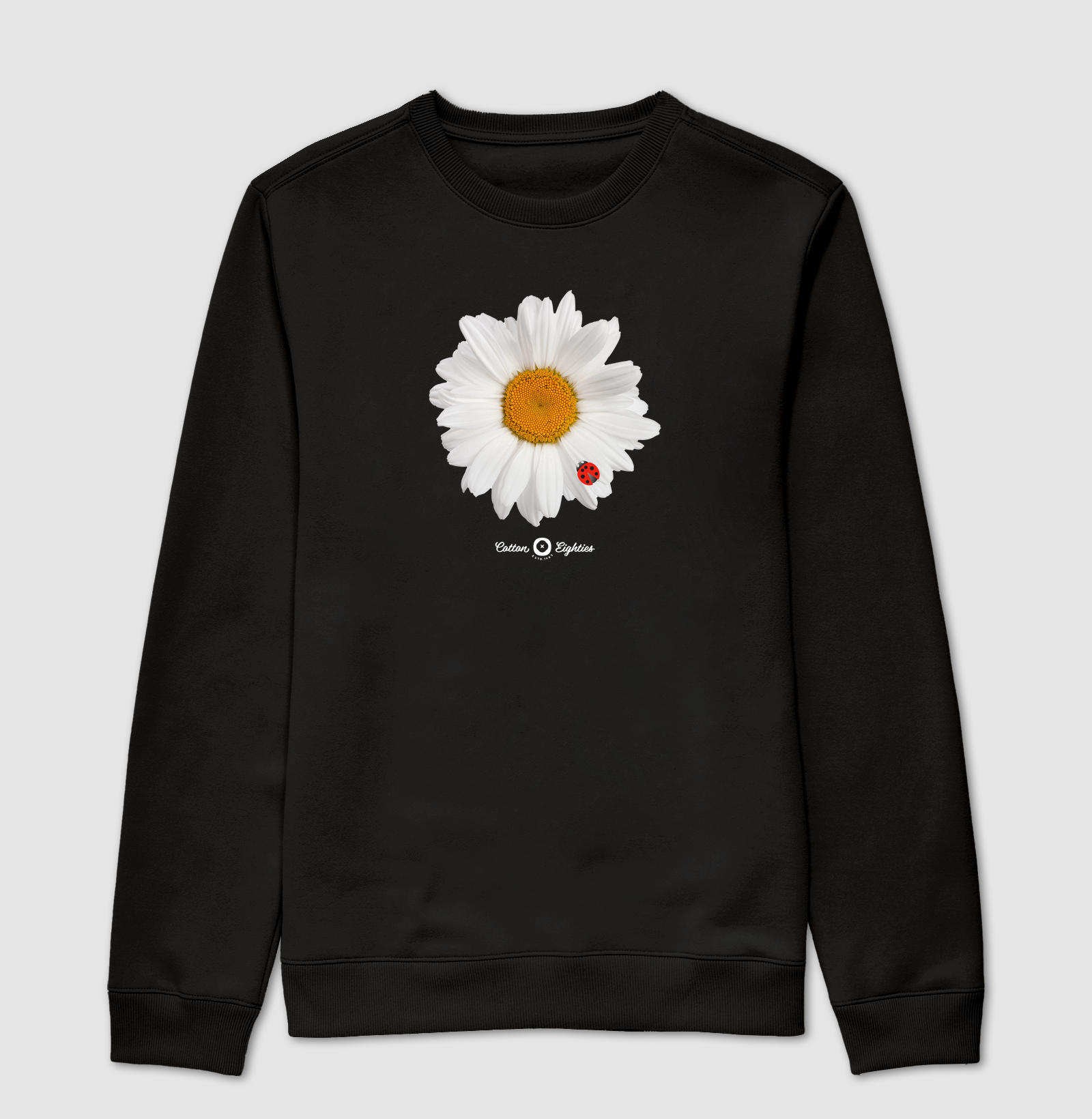 Daisy and Ladybug (Series)