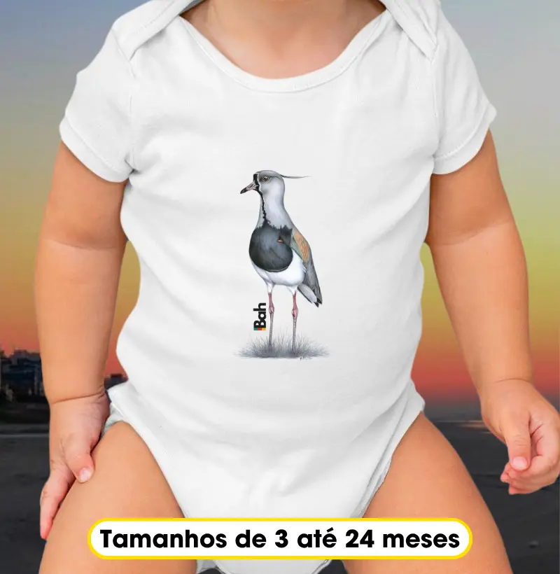 Quero-Quero