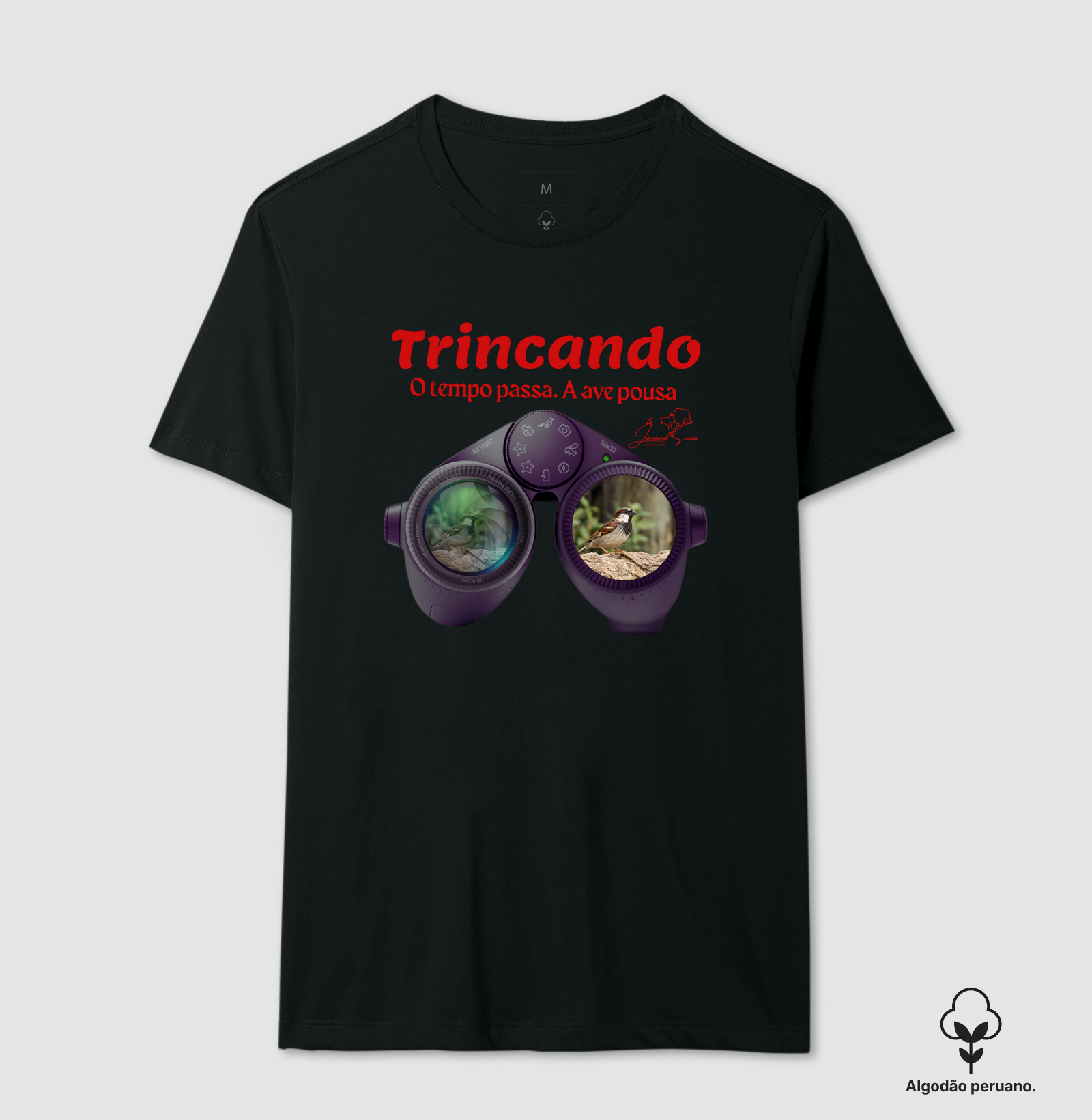 Coleção Observadores 1.0