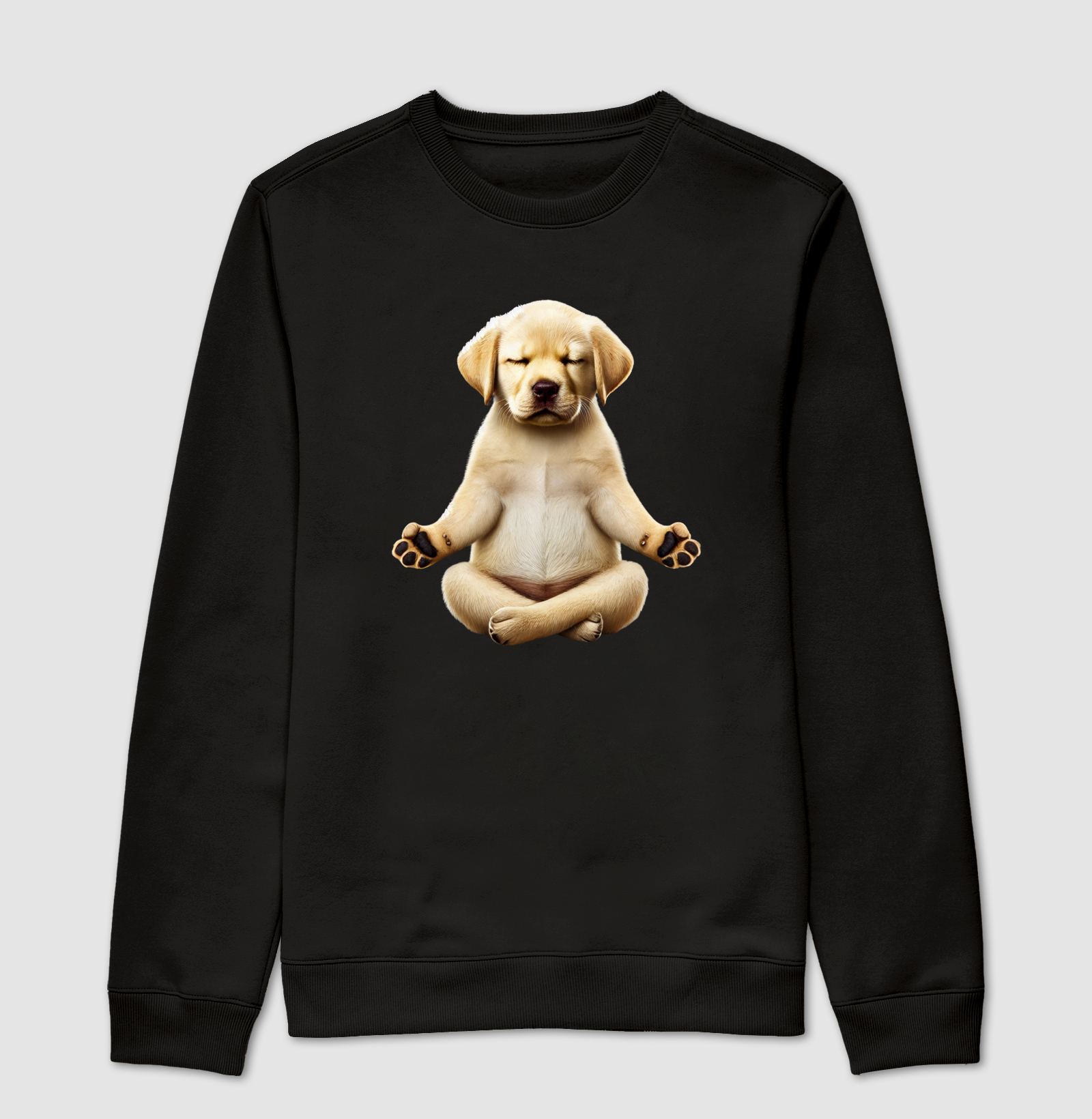 Labrador Meditando