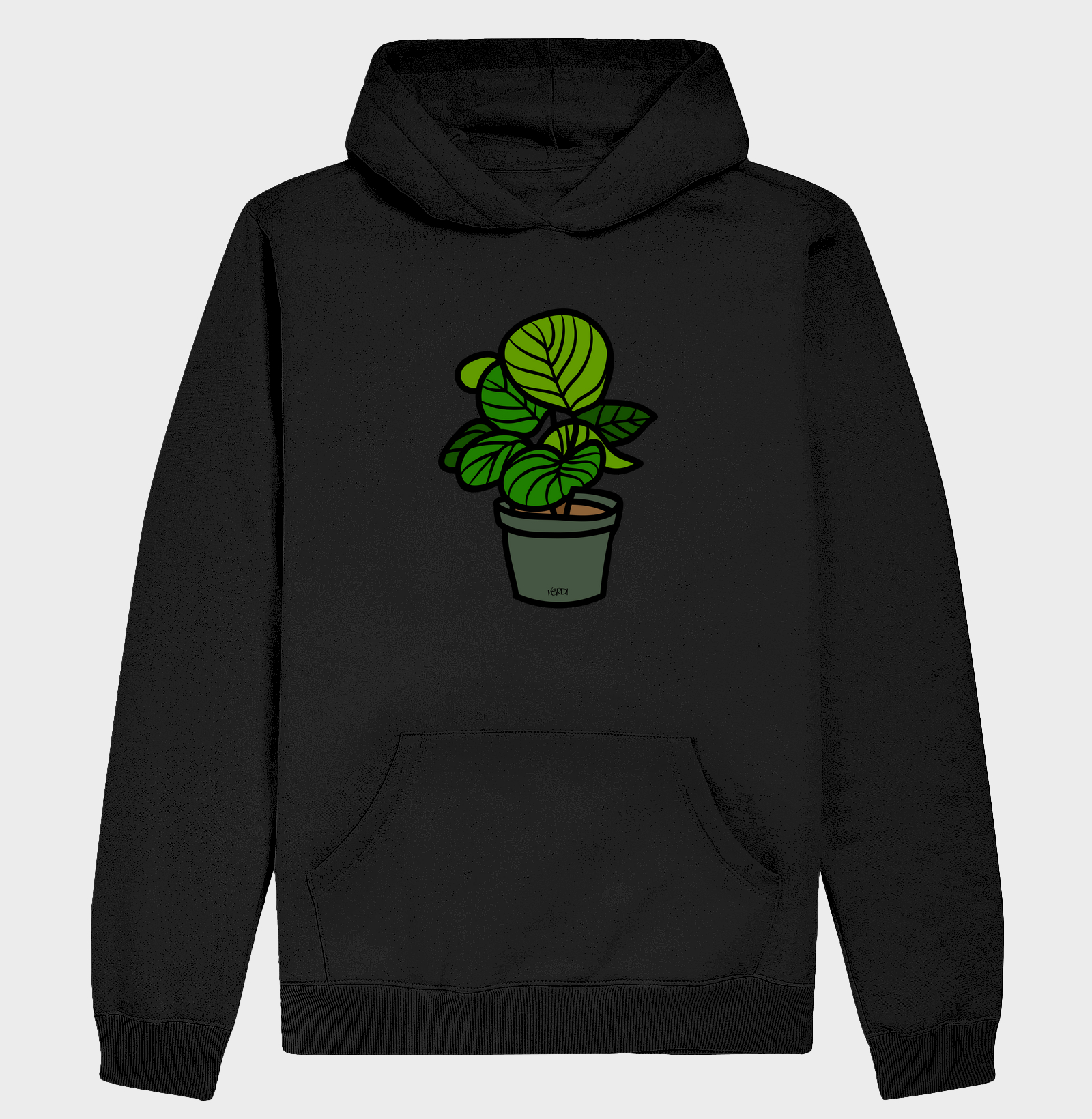 Vaso de Calathea Orbifolia