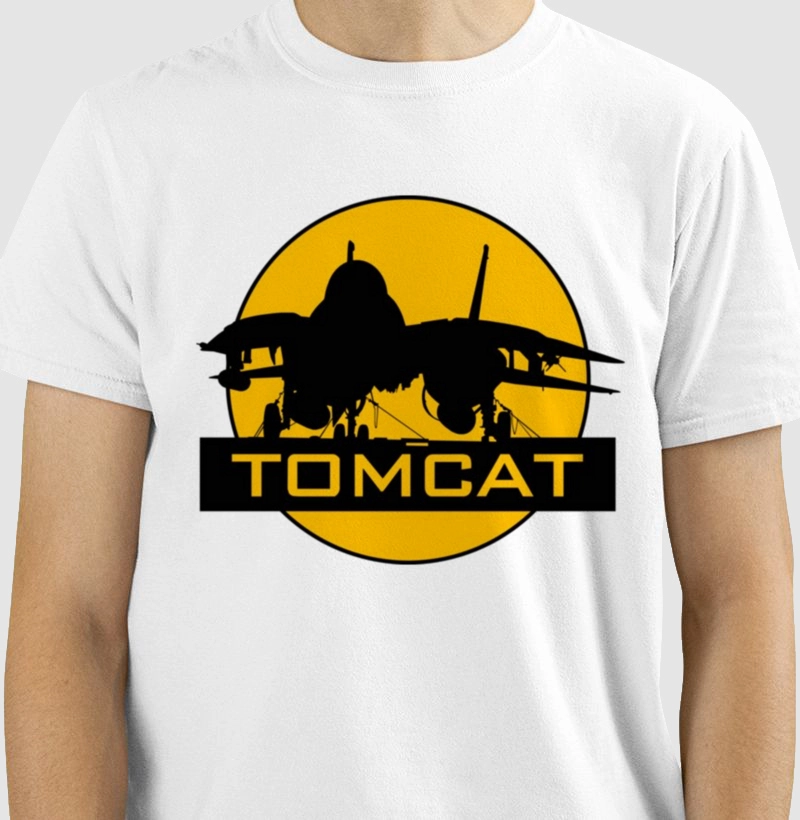 F14 Tom Cat - Vista por do sol