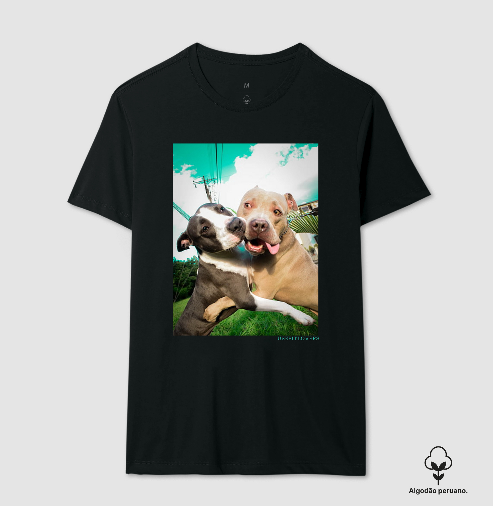 ABRAÇO DE PIT BULL