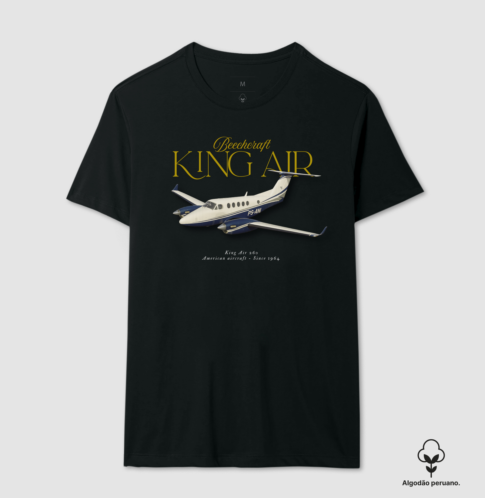 King Air 260 - PS-ANI