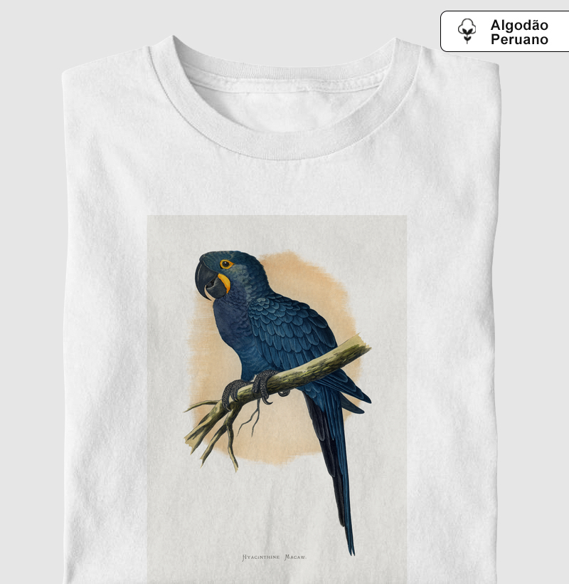 Hyacinthine Macaw