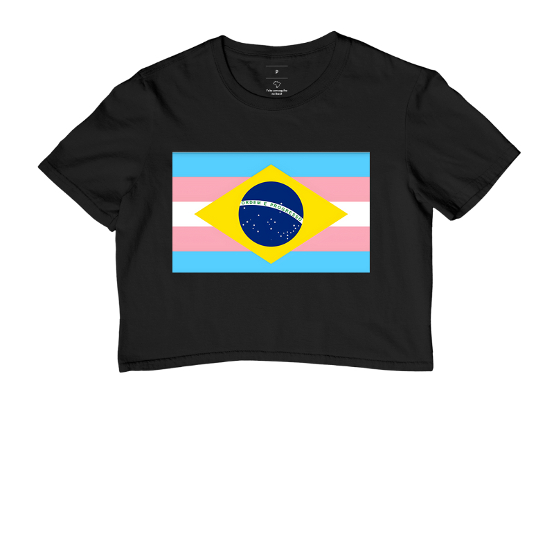 Bandeira Trans
