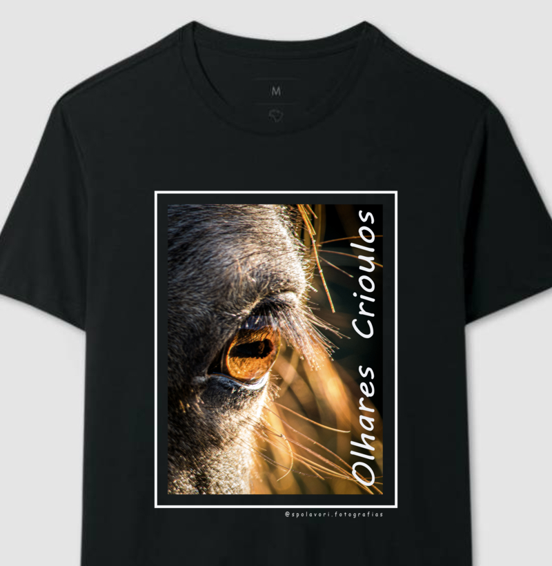 Olhares 02