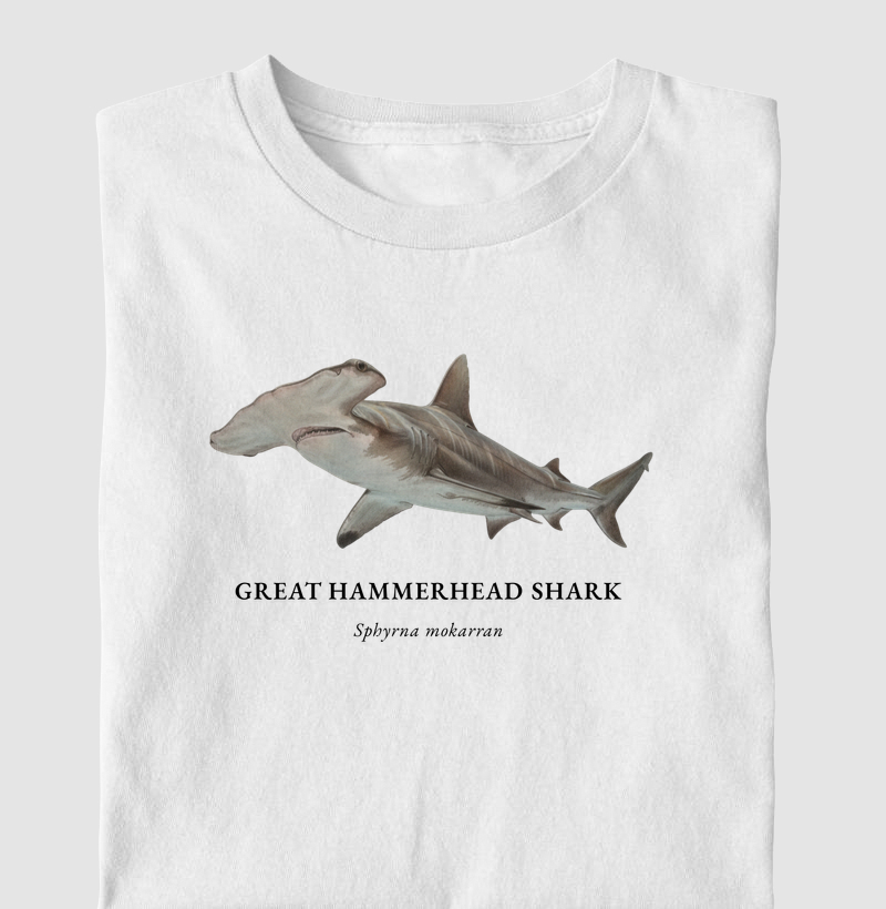 Great Hammerhead Shark