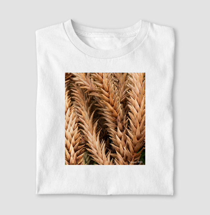 Camiseta Pinheiro