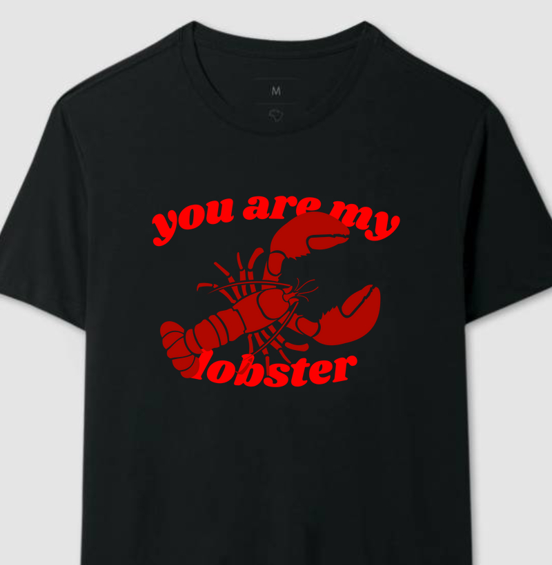 You are my lobster, Camiseta Friends!