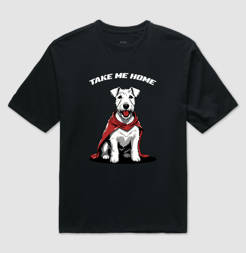 Take me home