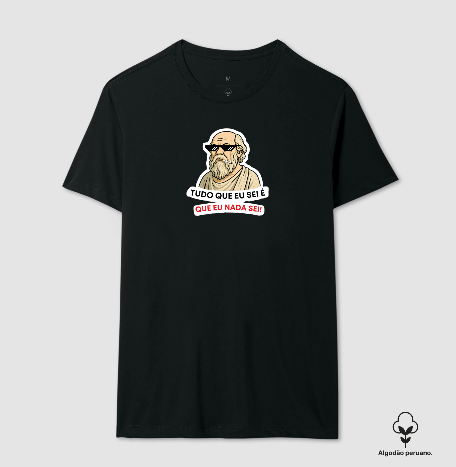 Sócrates Meme – Tudo Que Eu Sei é Que Eu Nada Sei