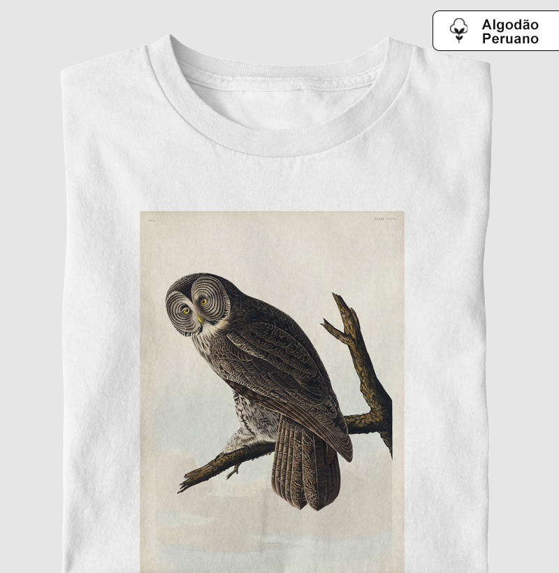 Great Cinereous Owl