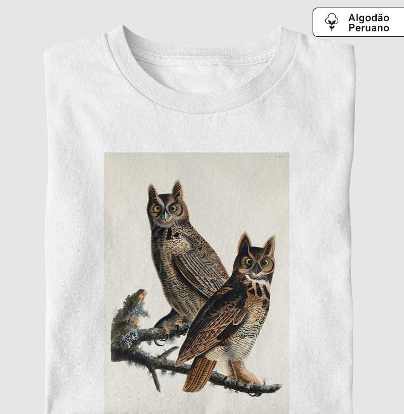 Great Horned Owl
