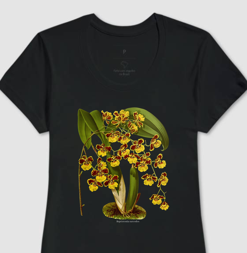 Camiseta Feminina Baptistonia sarcodes