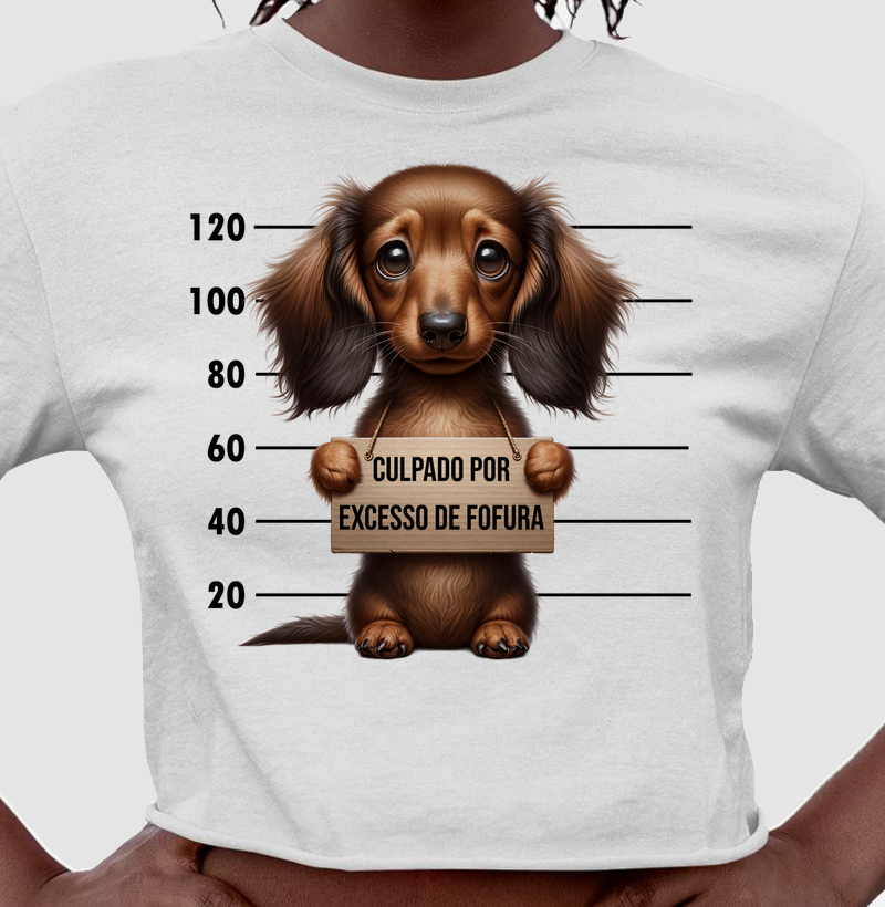 Dachshund - Culpado por Fofura
