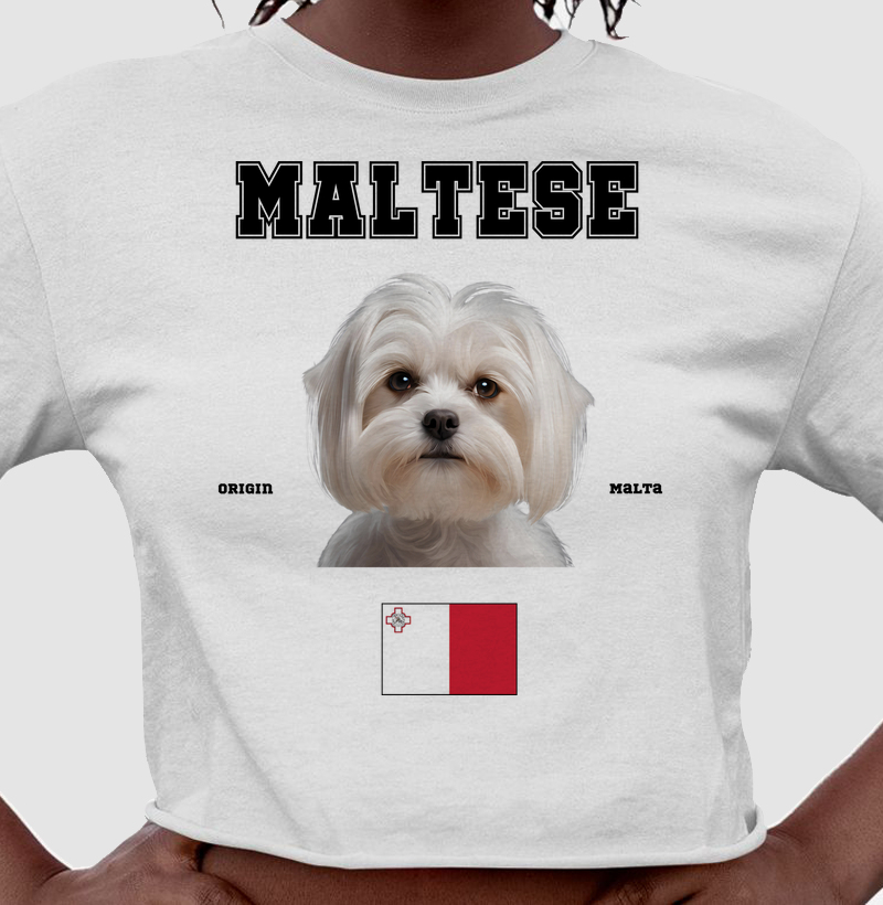 Maltês
