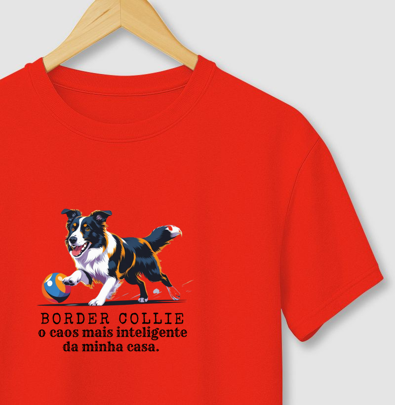Border Collie, o caos mais inteligente da minha casa!