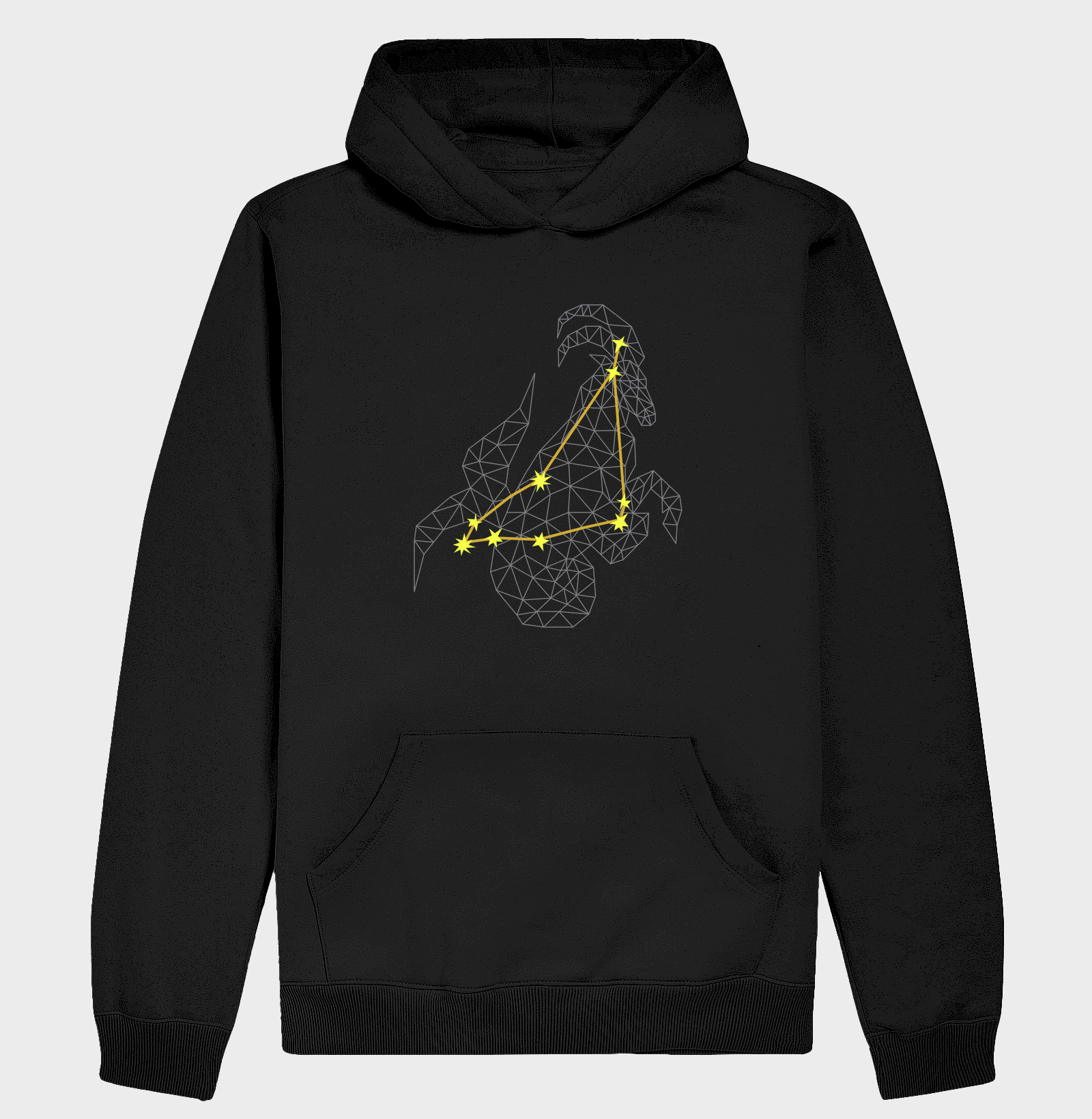 Capricórnio Estrelas