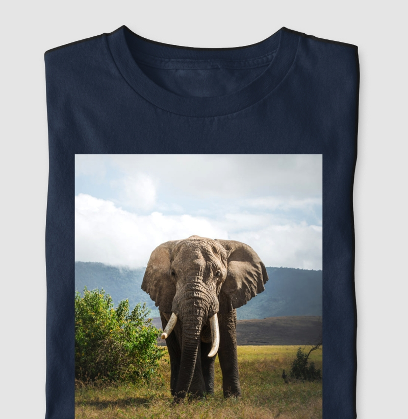 Elefante africano